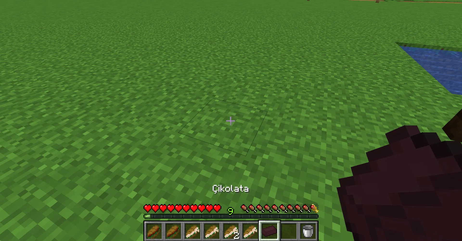 Ardinyo's foods — скриншот 8 (Моды, Minecraft)
