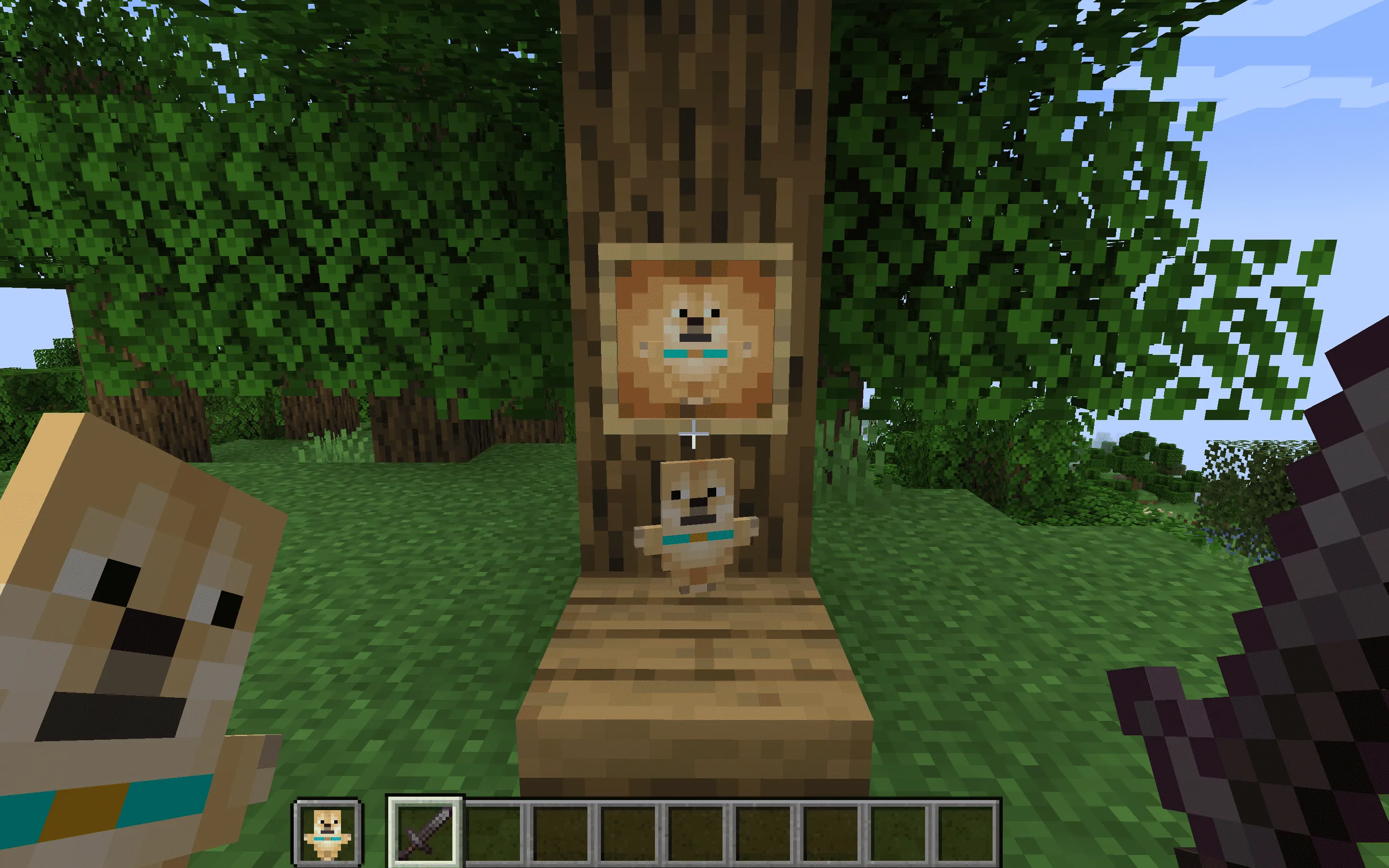 Doge Meme Totem of Undying — скриншот 1 (Текстуры, Minecraft)