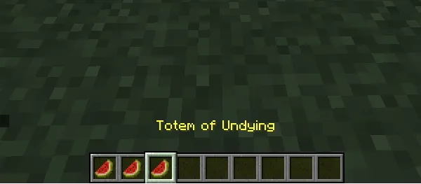MelonTotem, Текстуры, Minecraft