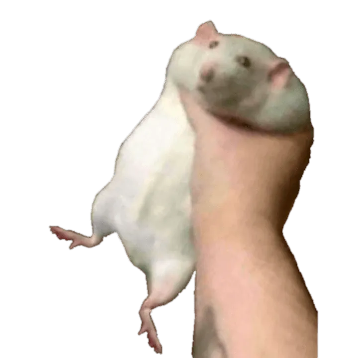 Fat Rat Totem of Undying — скриншот 1 (Текстуры, Minecraft)
