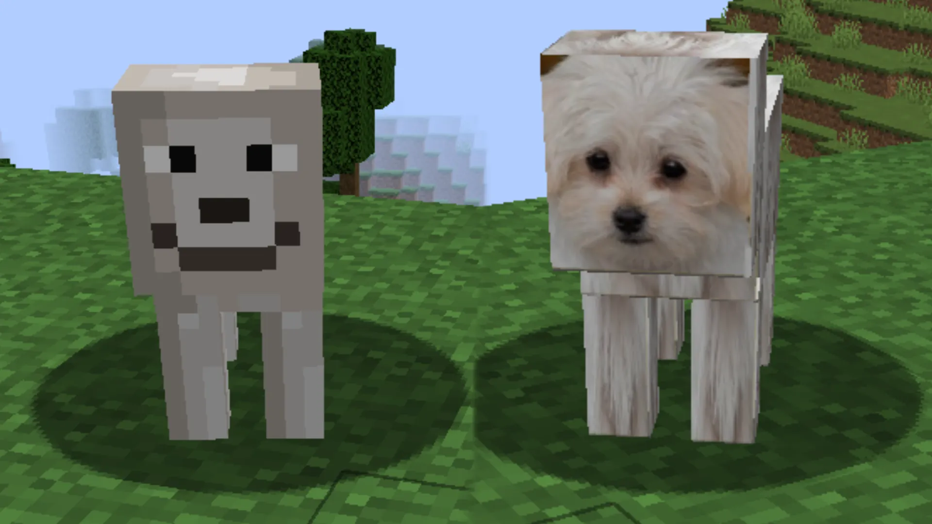 Swal "remastered", Моды, Minecraft