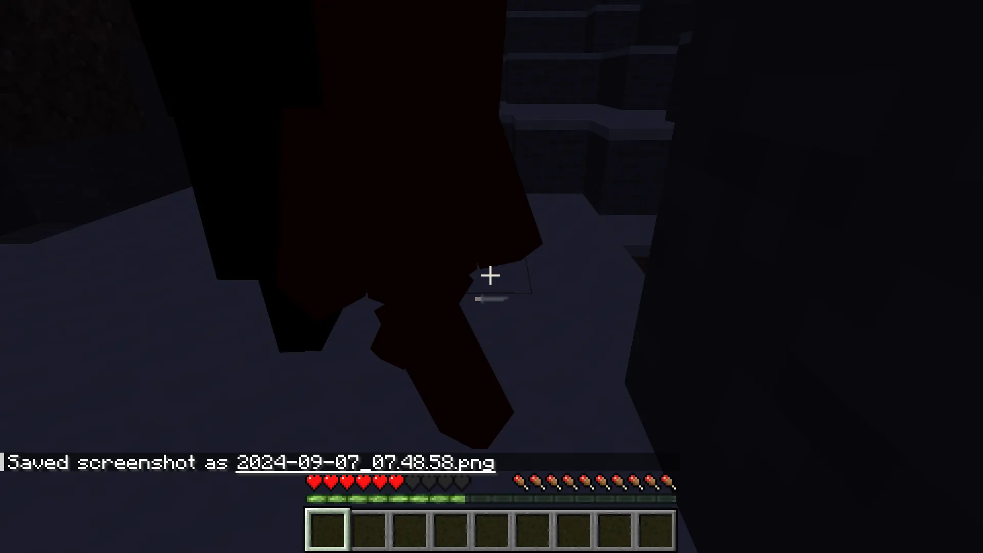 The invisble one, Моды, Minecraft