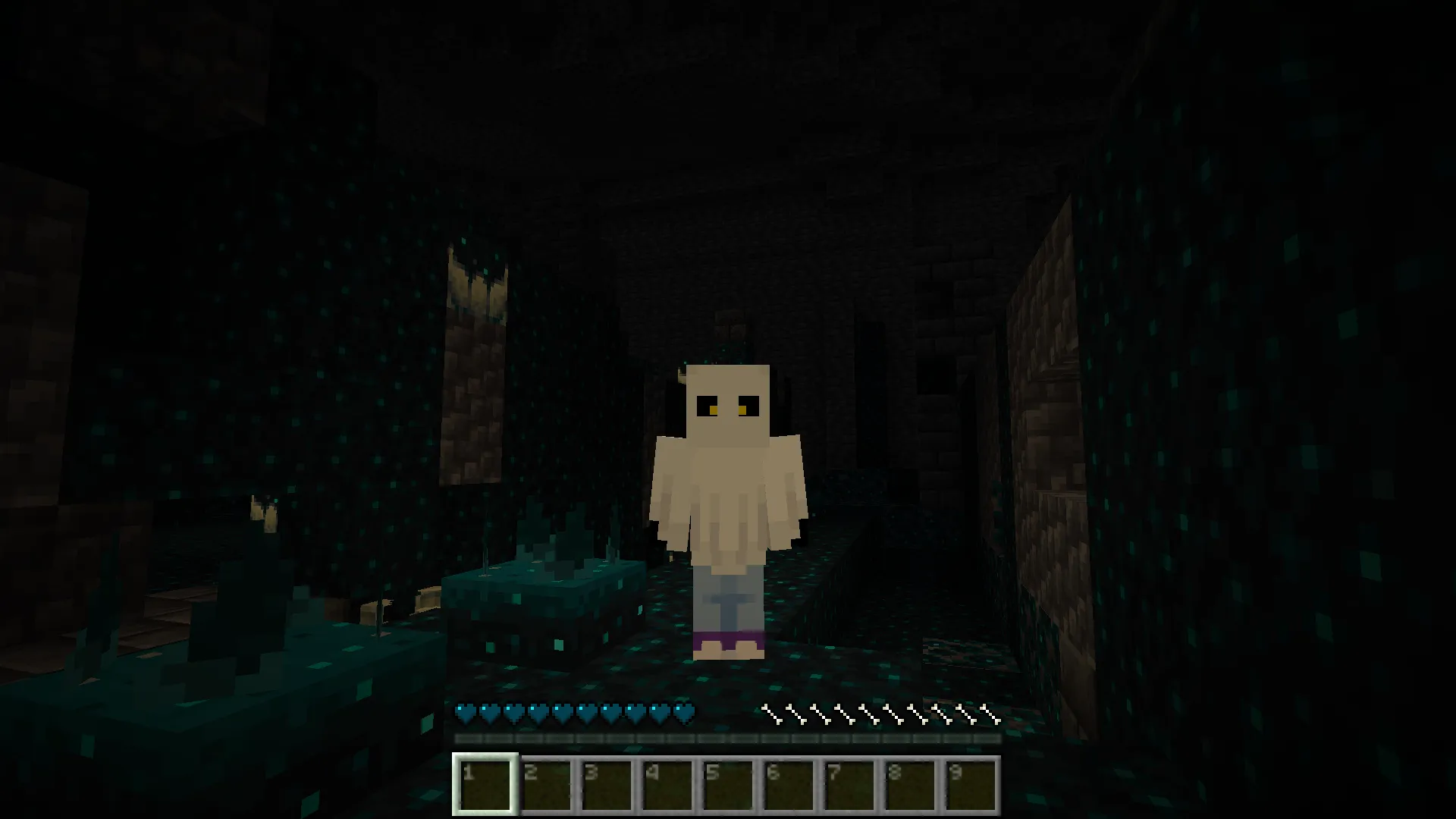 Warden Health Bar — скриншот 2 (Текстуры, Minecraft)