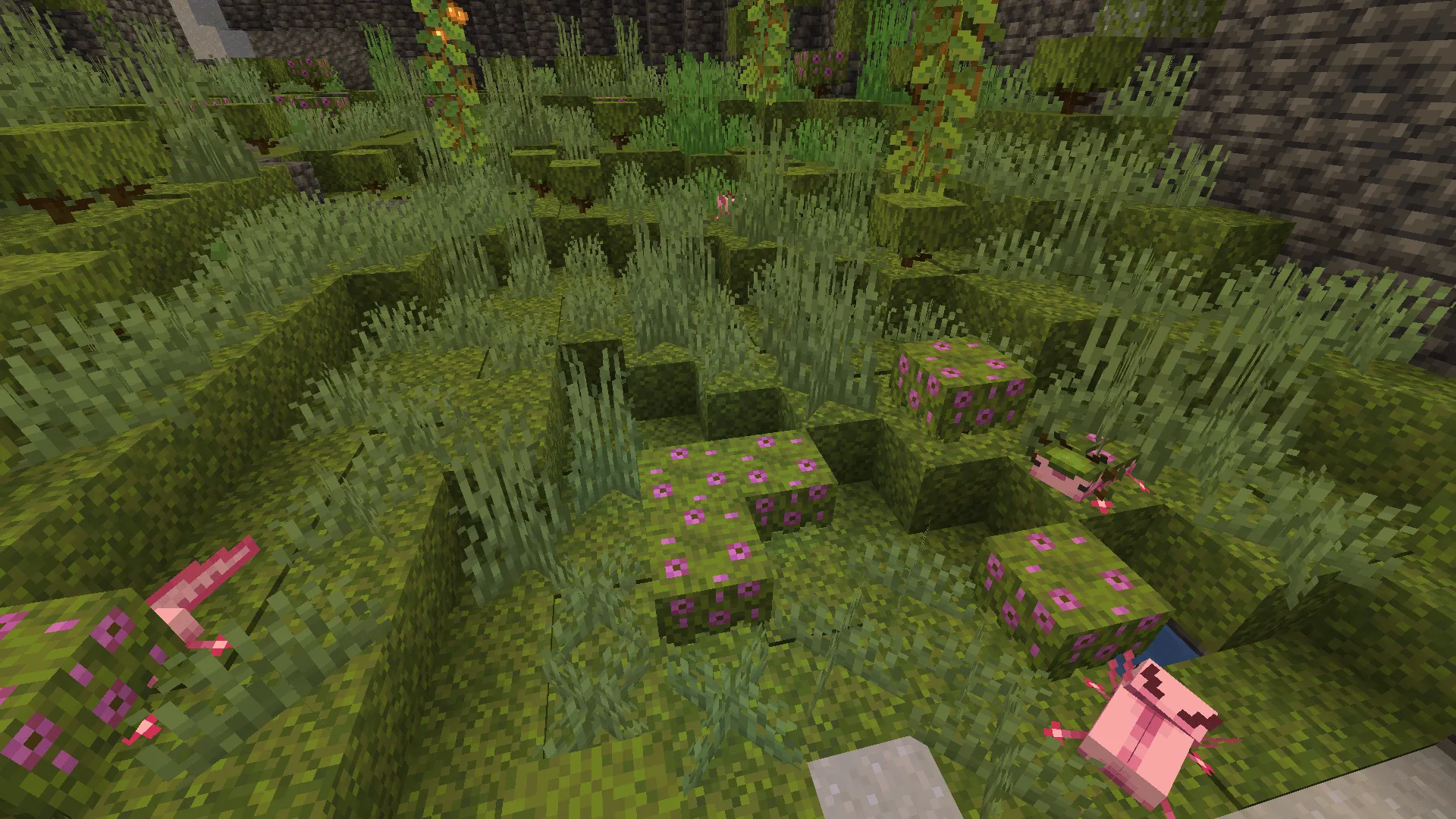 Ostrea, Моды, Minecraft