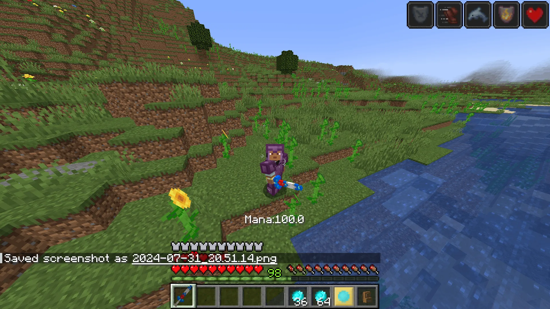 Wizzards!, Моды, Minecraft