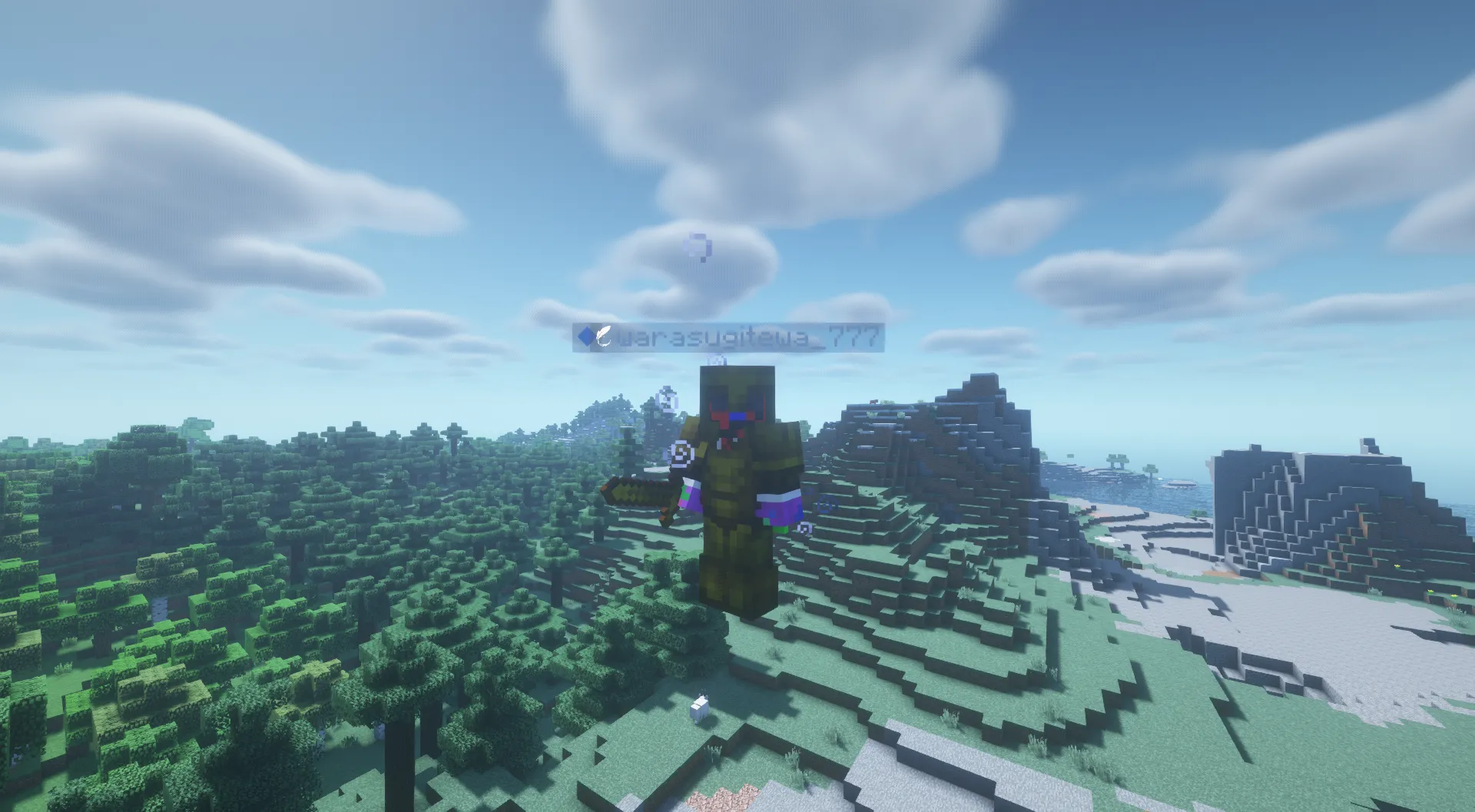 Wdiamondarmor, Текстуры, Minecraft