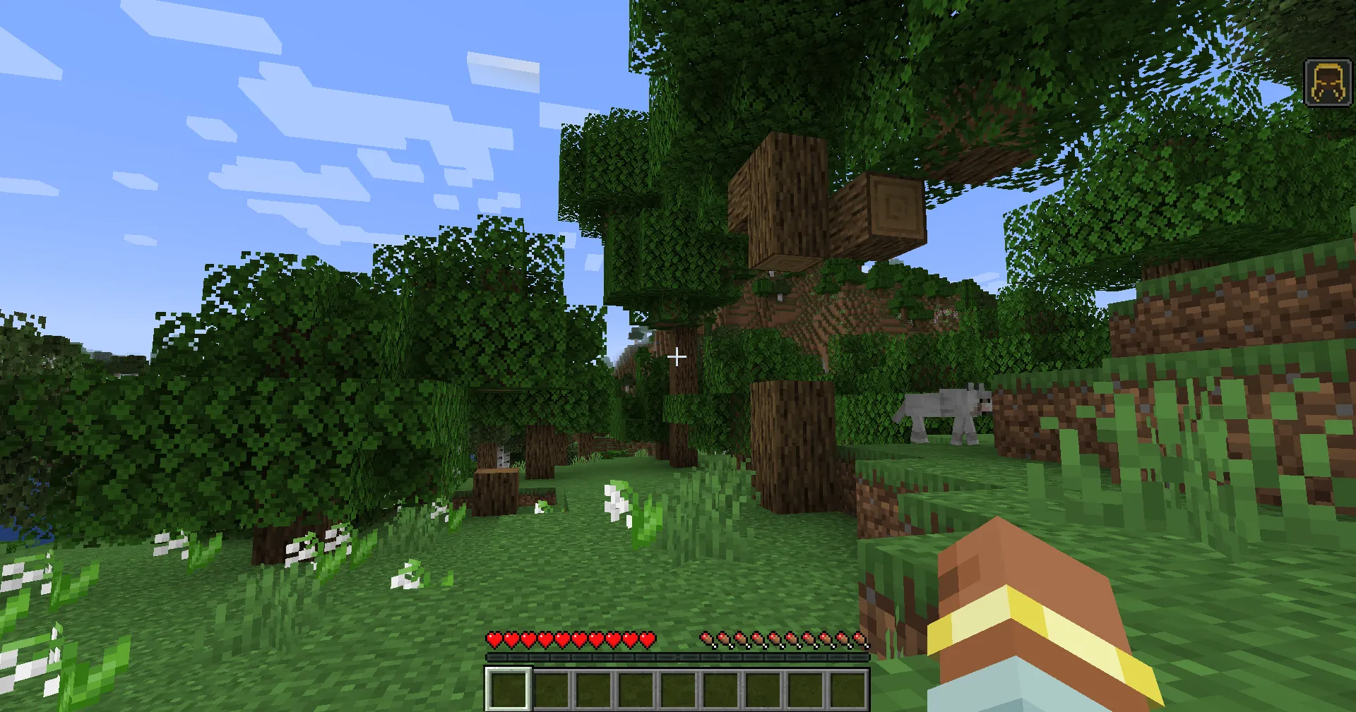 project-1100571, Моды, Minecraft