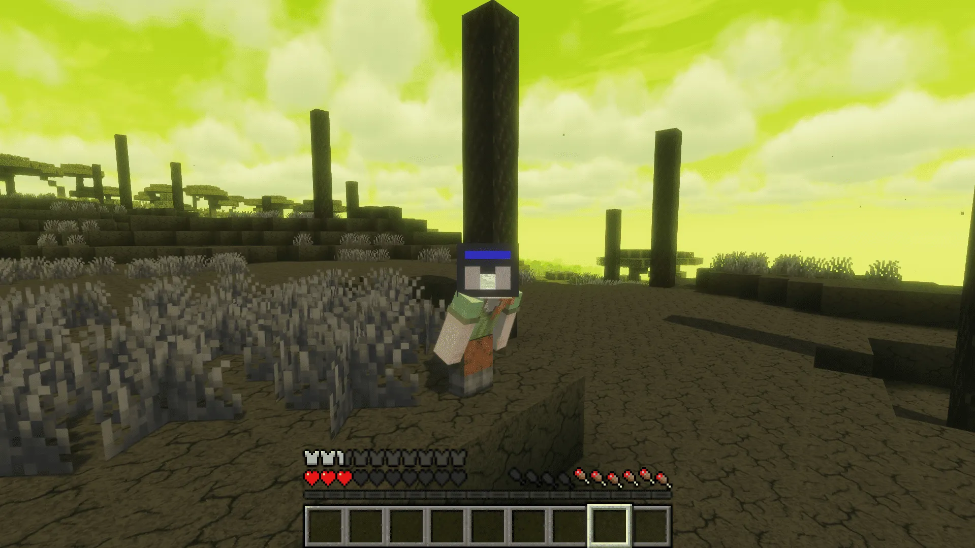 Radiation Wasterland ☢️, Моды, Minecraft
