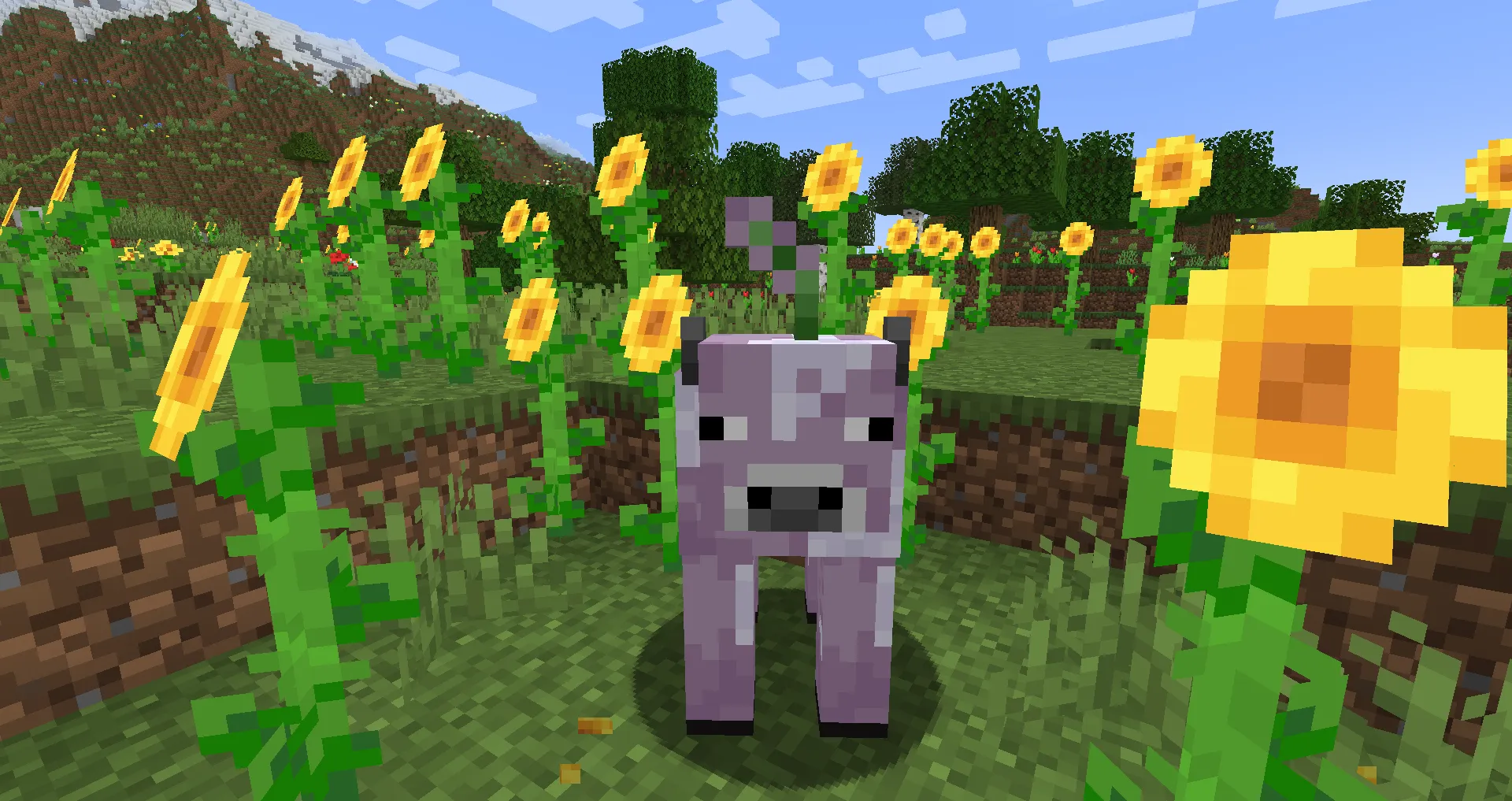 Lilac Cow, Текстуры, Minecraft