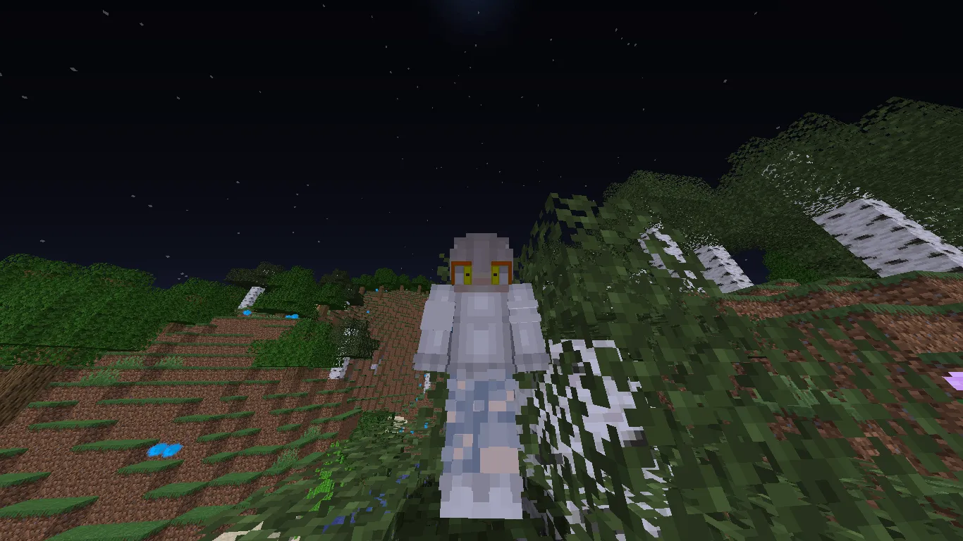 ShinobiLand, Моды, Minecraft