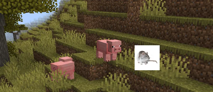 Rat criska — скриншот 1 (Моды, Minecraft)