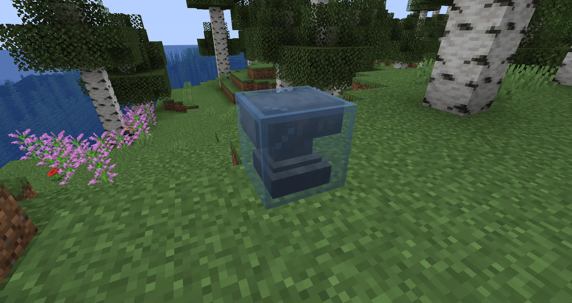 Camol, Моды, Minecraft