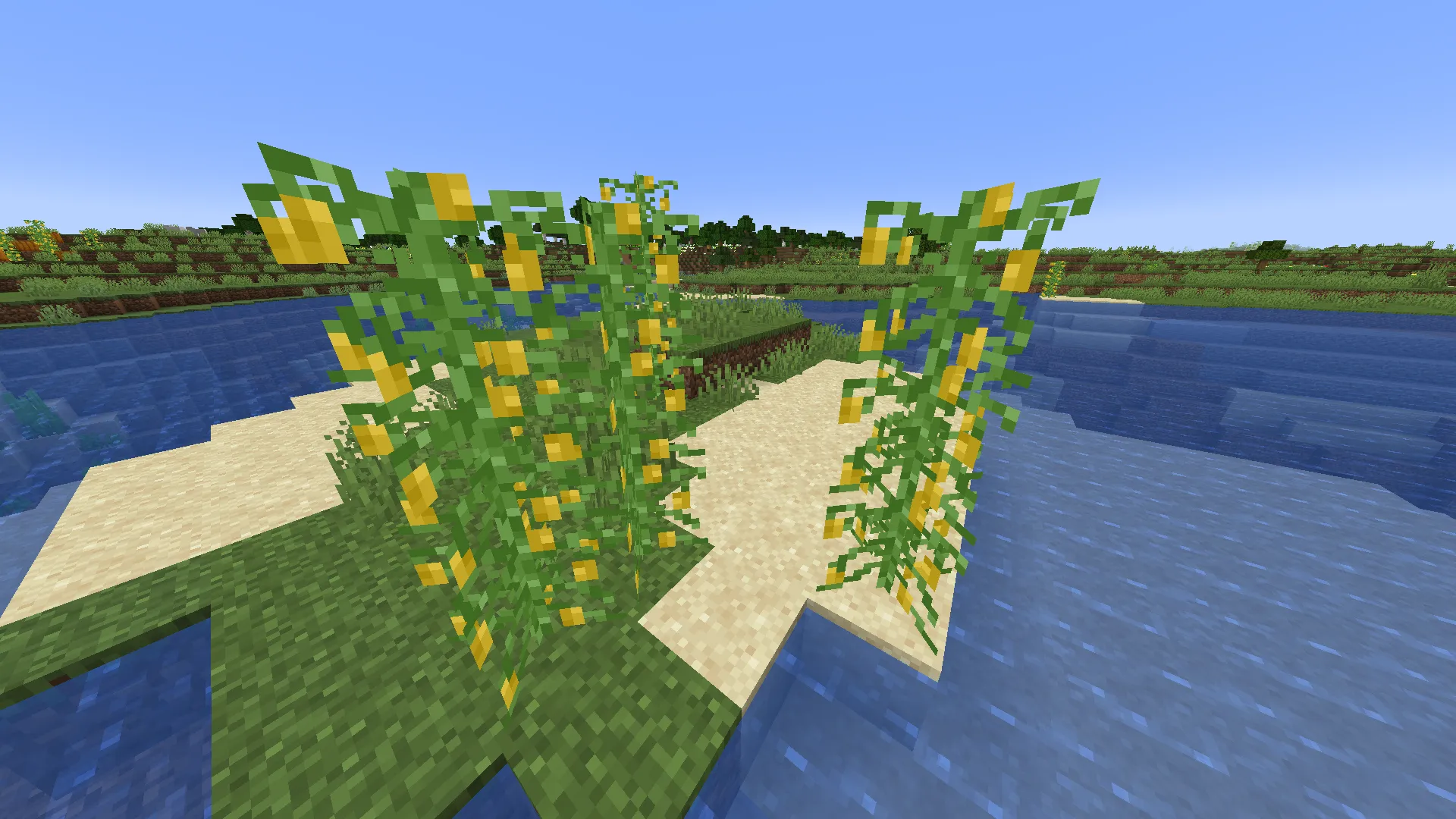 Woodlands, Моды, Minecraft