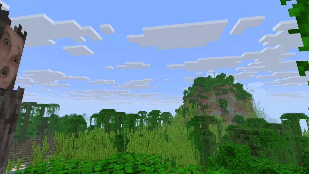 Roman, Текстуры, Minecraft