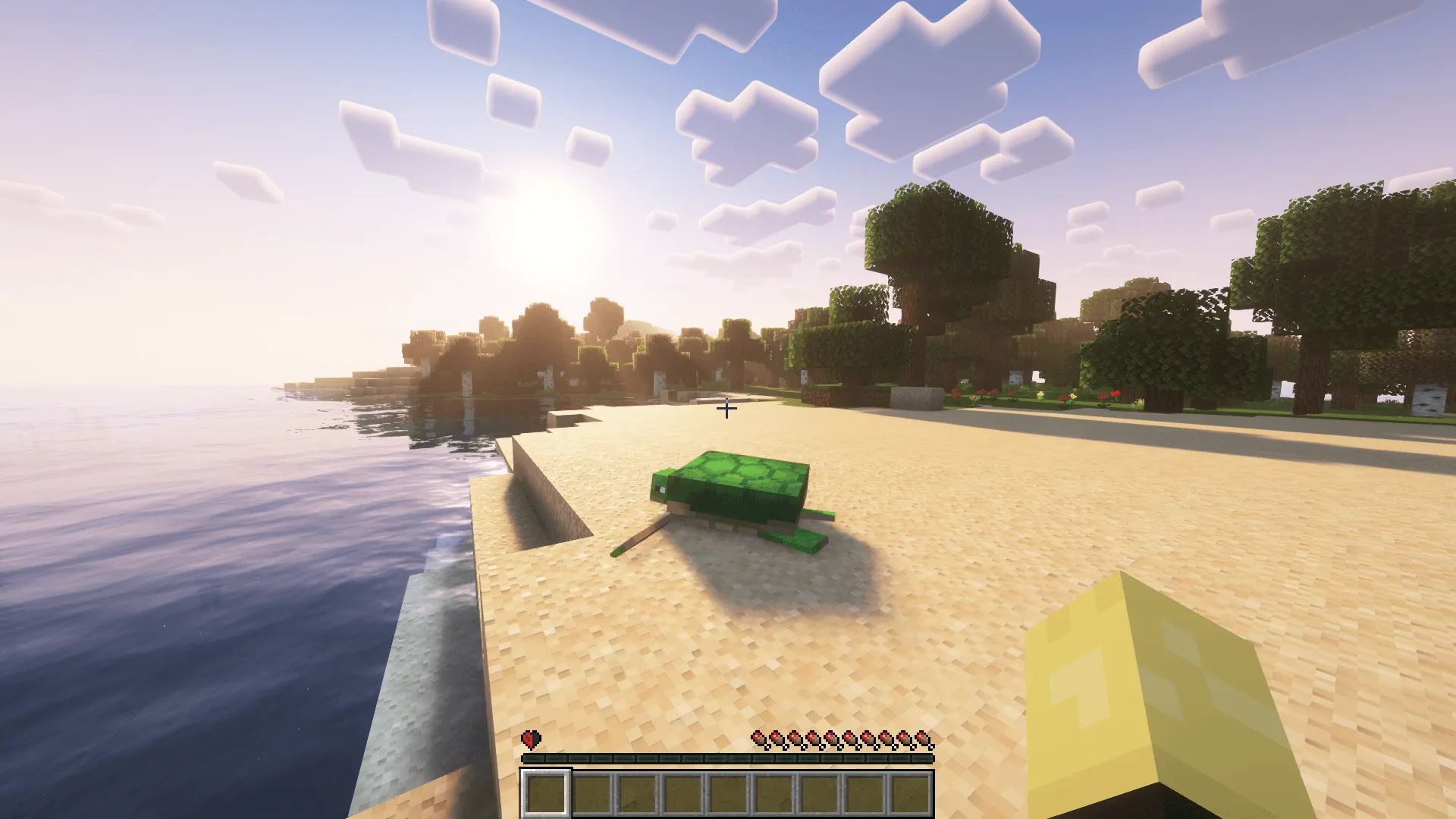 Half Heart Hardcore (HHH), Дата-паки, Minecraft