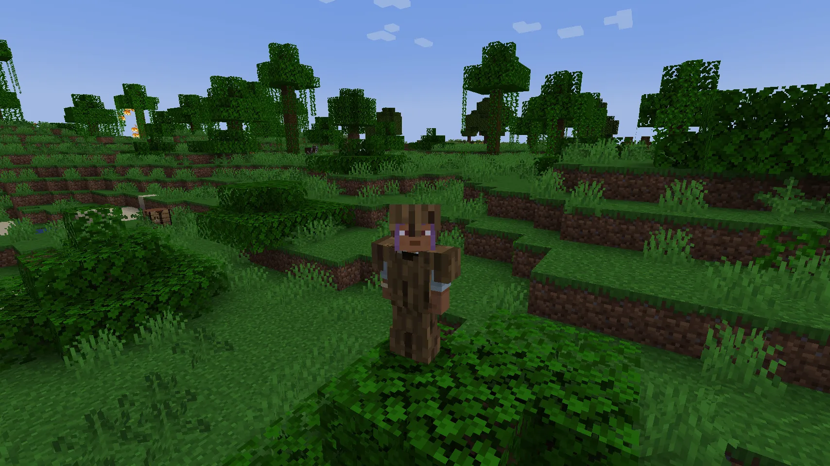 (Way) Too Many Armors, Моды, Minecraft