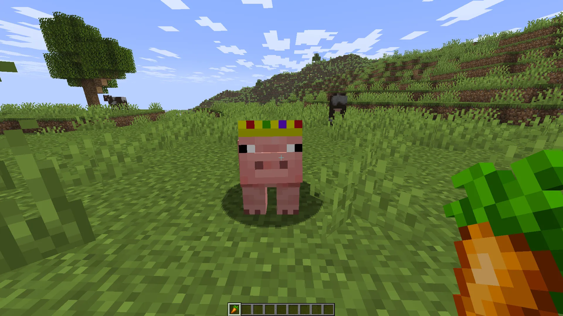 Technoblade Pigs (TPMC), Текстуры, Minecraft