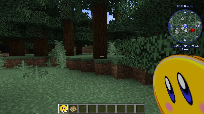 Hikitavo´s coins, Моды, Minecraft