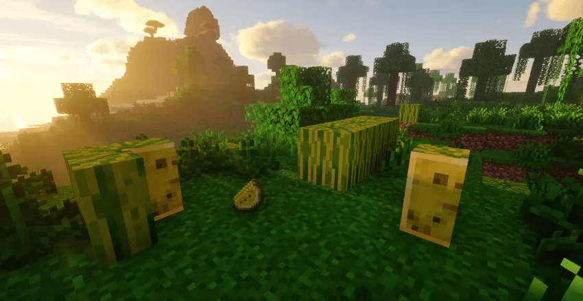 Better Melon, Моды, Minecraft