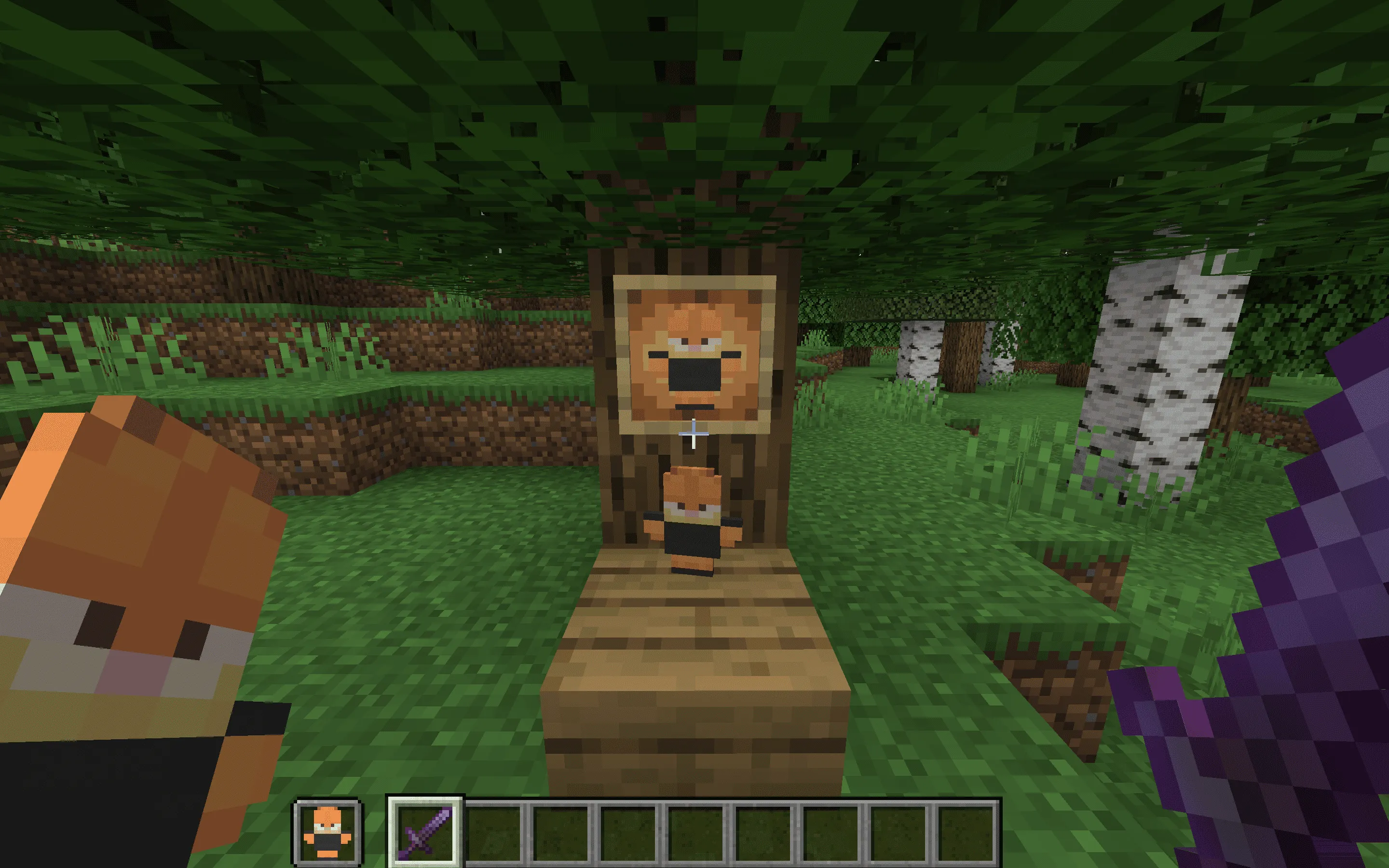 Garfield Totem of Undying, Текстуры, Minecraft