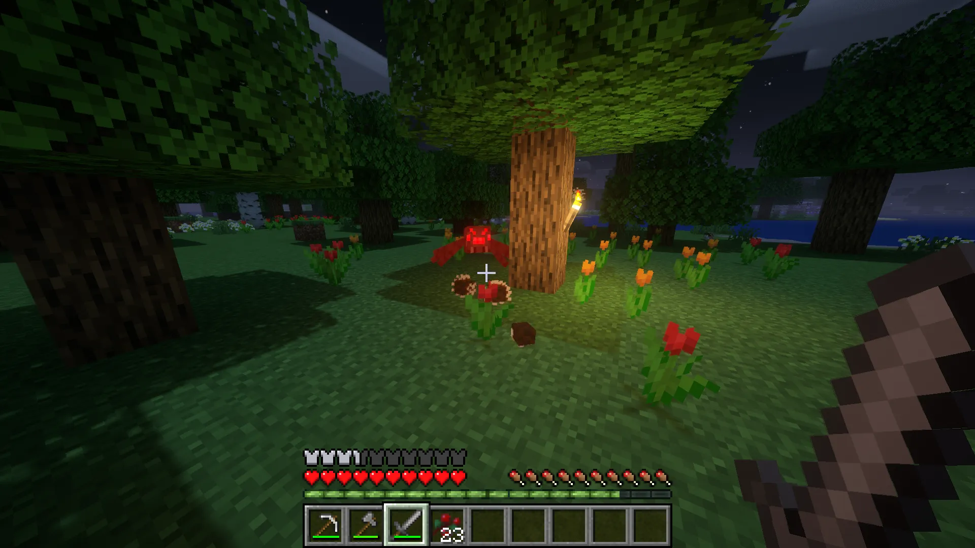 Will's Hedgehogs!, Моды, Minecraft