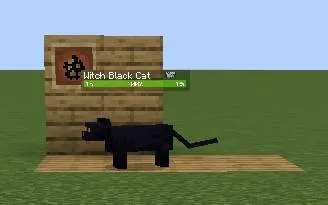 Illagers Wraith, Моды, Minecraft