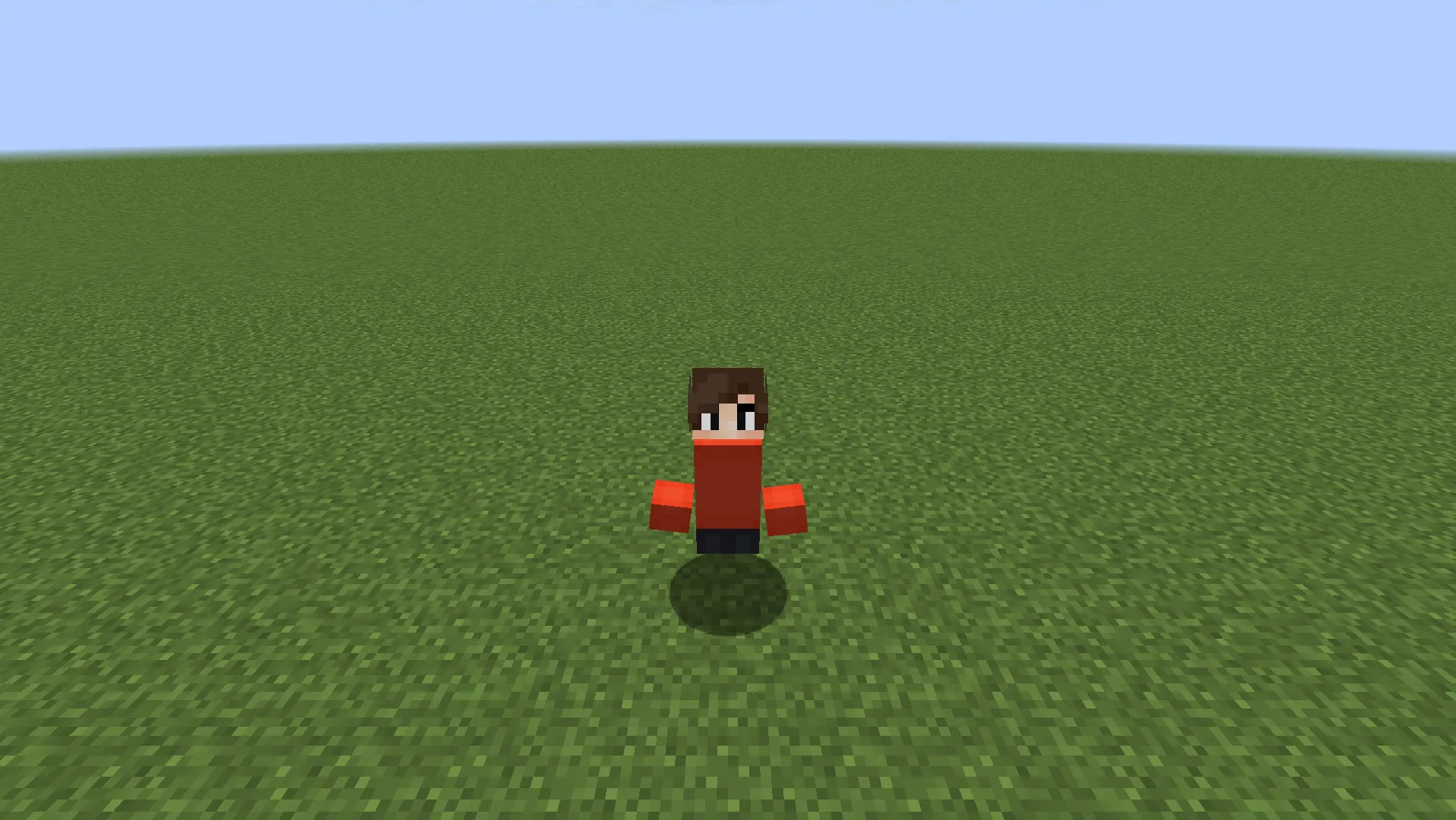 Mii Players, Текстуры, Minecraft