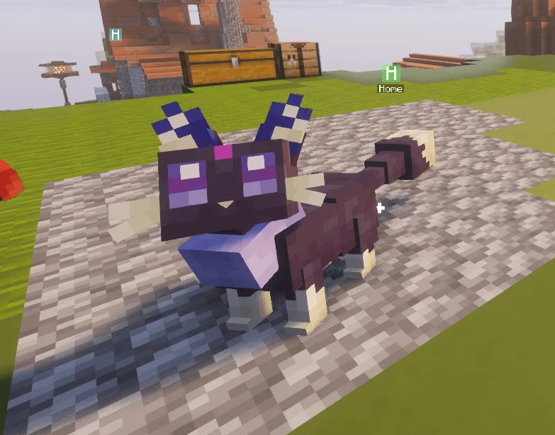Cody'sMons, Текстуры, Minecraft