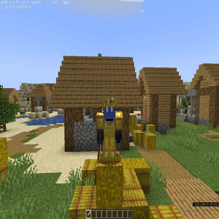 Technoblade's Golden Crown, Текстуры, Minecraft