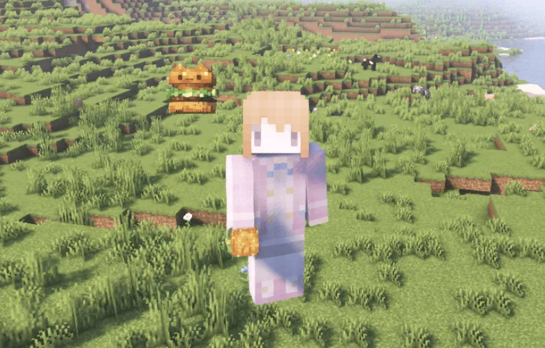 Cat Burger, Моды, Minecraft