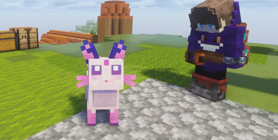 Cody'sMons, Текстуры, Minecraft