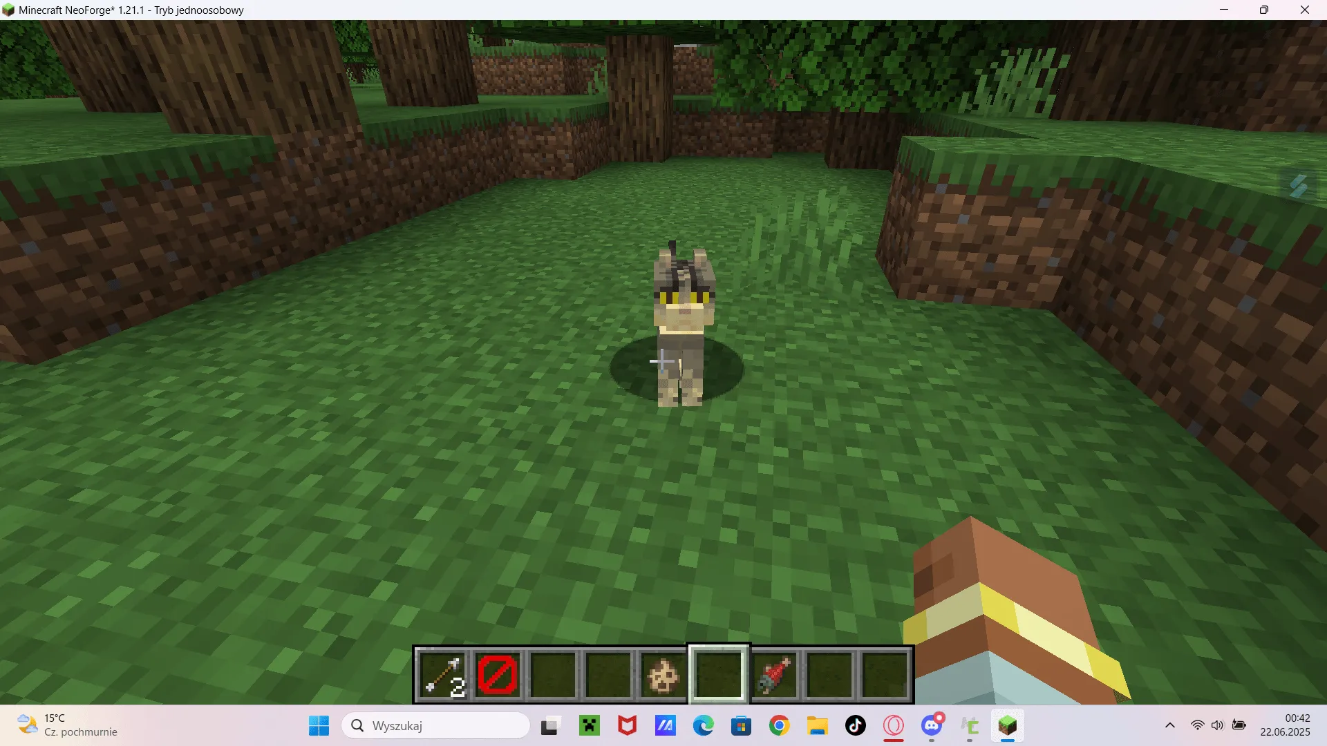 polandresourcepack — скриншот 8 (Текстуры, Minecraft)