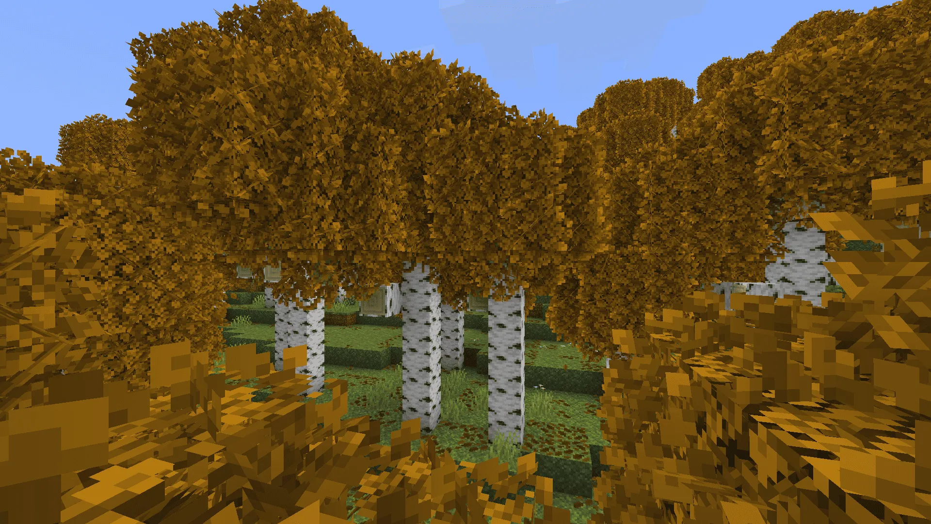 Autumn Forest — скриншот 1 (Моды, Minecraft)