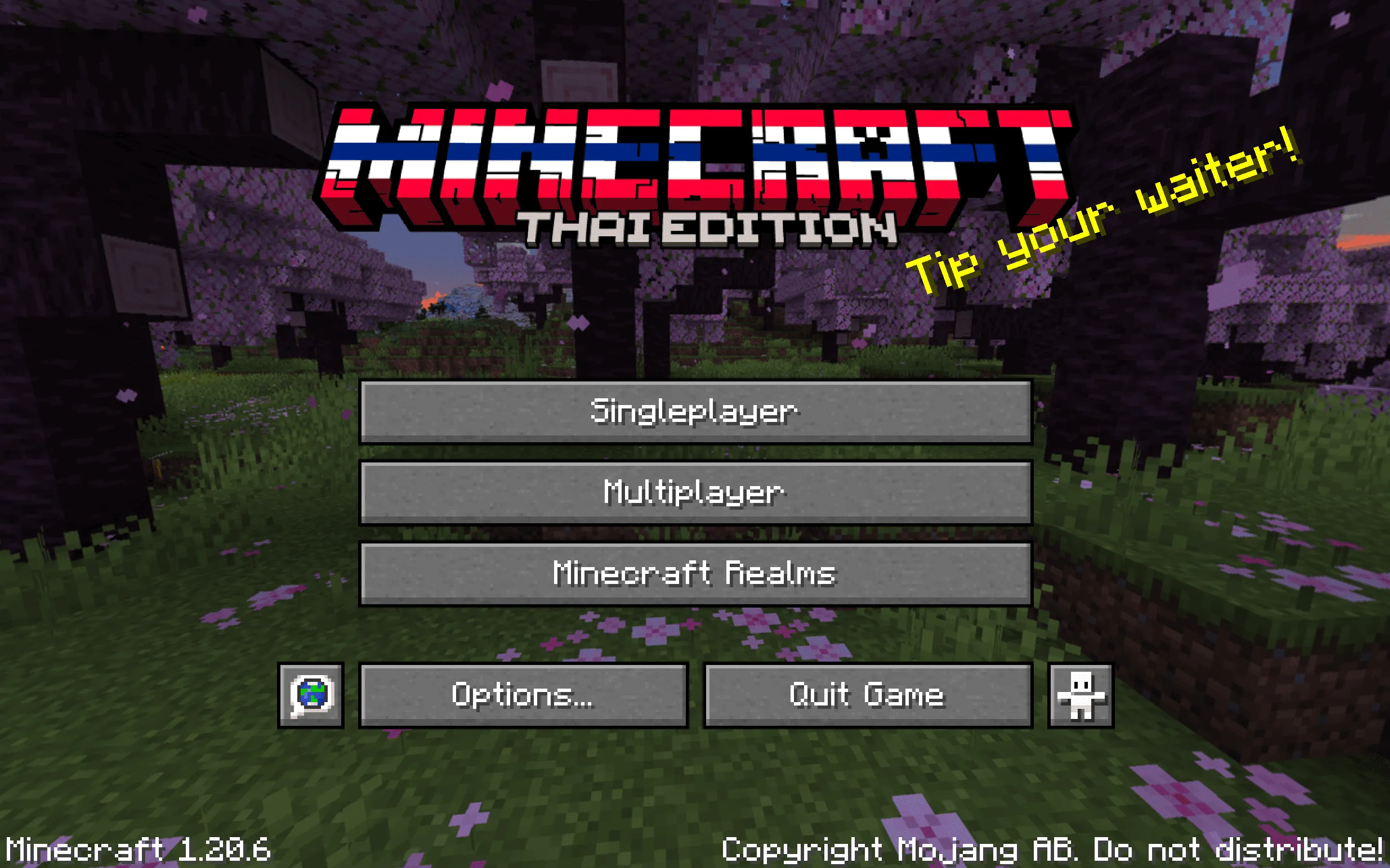 Thai Title Menu - Country Flag Edition, Текстуры, Minecraft