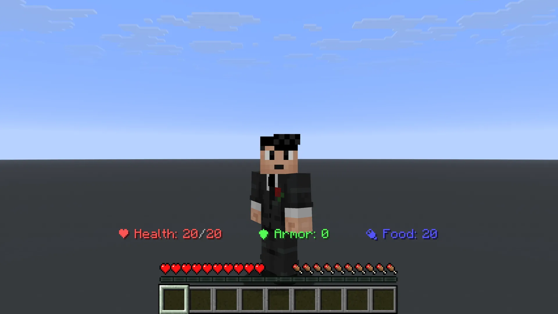 Professional Status Bar, Моды, Minecraft