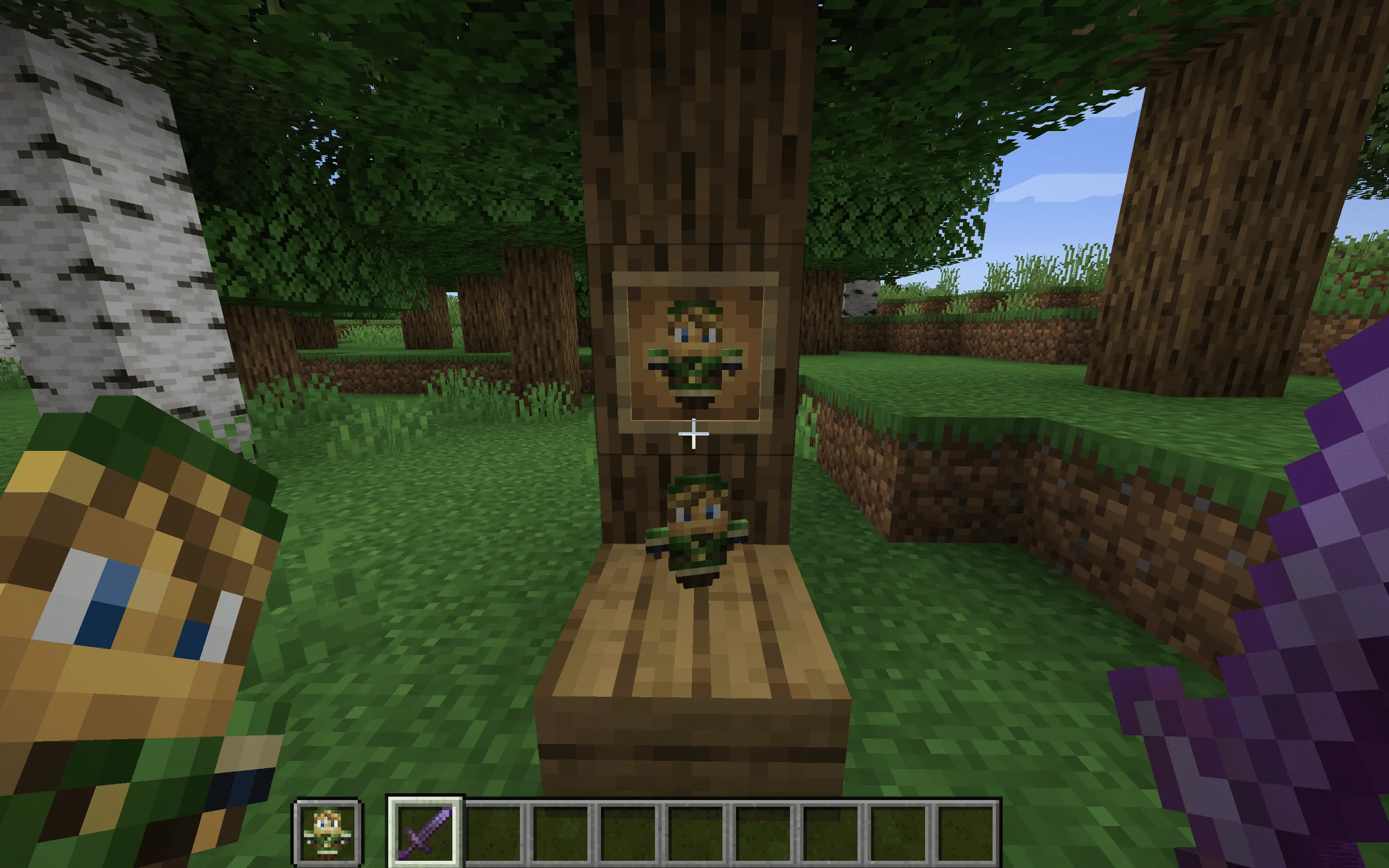 Link Totem of Undying, Текстуры, Minecraft