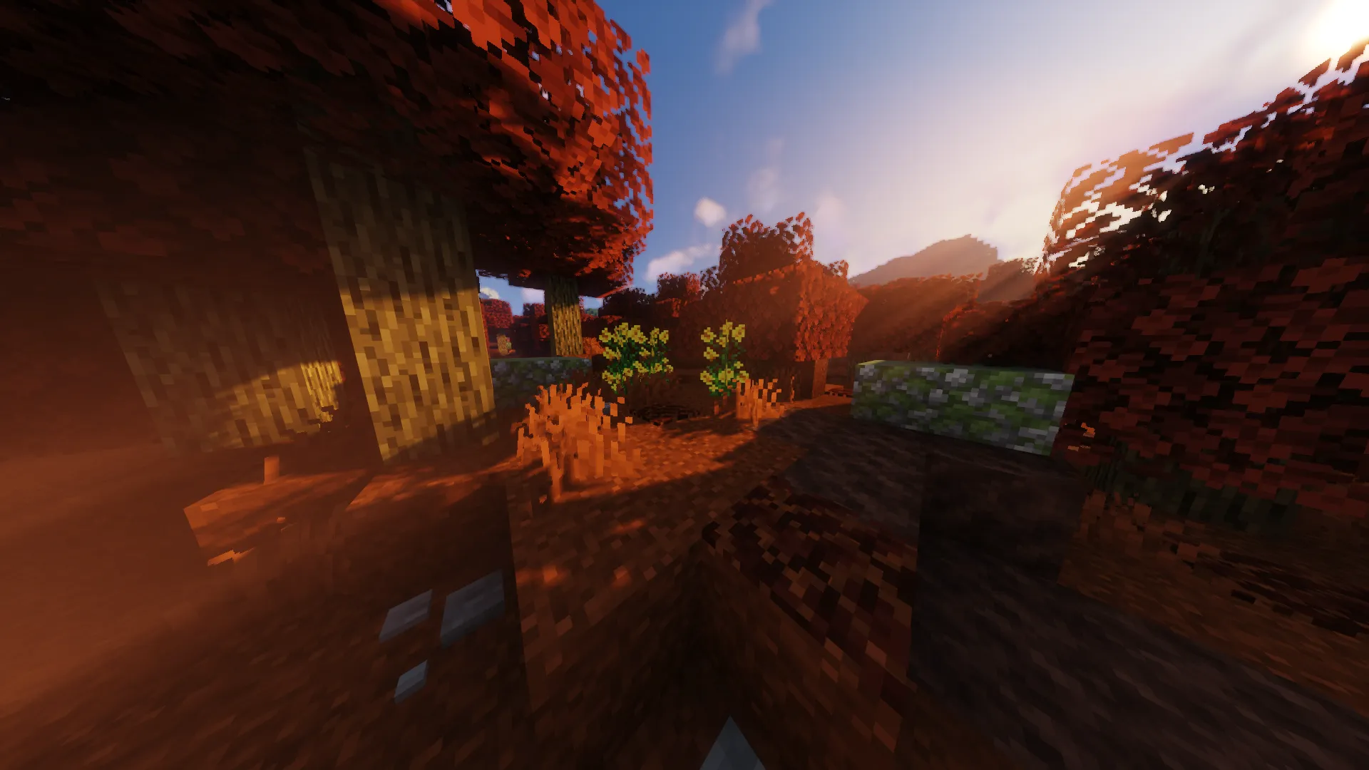 Db's Vanilla Biomes, Моды, Minecraft