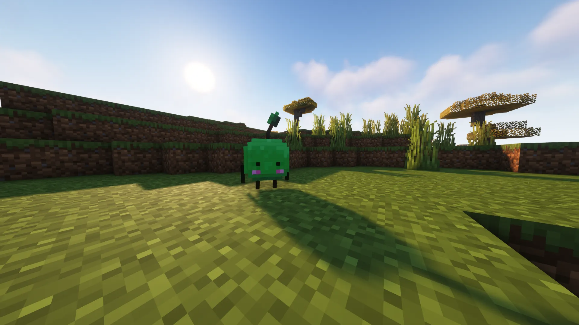 DewCraft, Текстуры, Minecraft