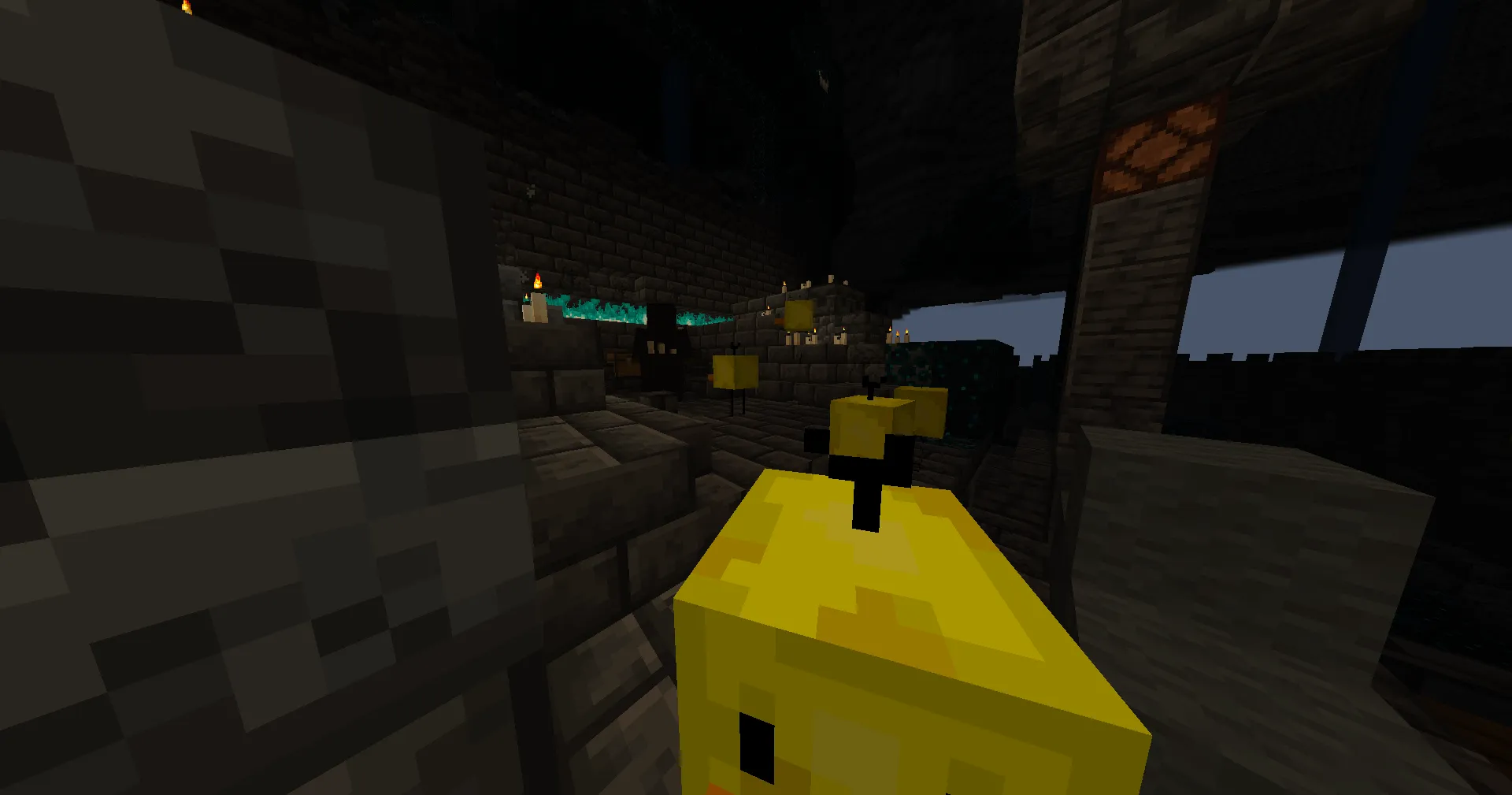 Ducks&Decor, Моды, Minecraft