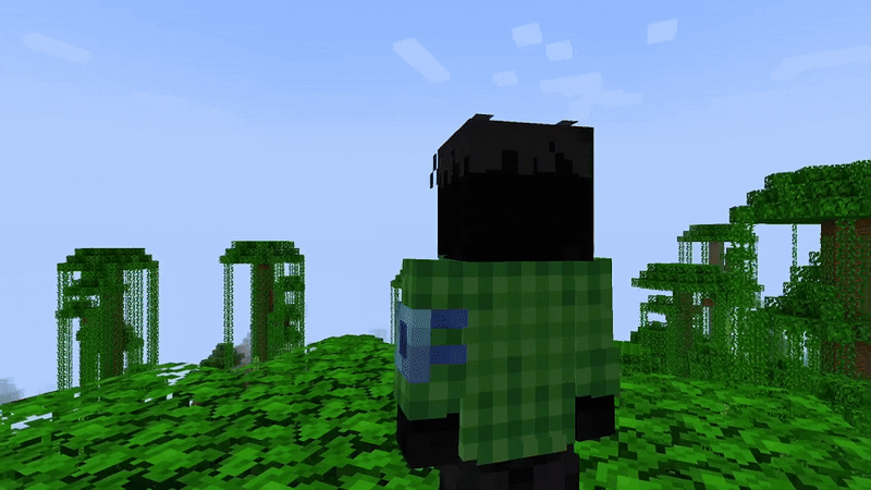 Tools On My Back (TOMB), Моды, Minecraft