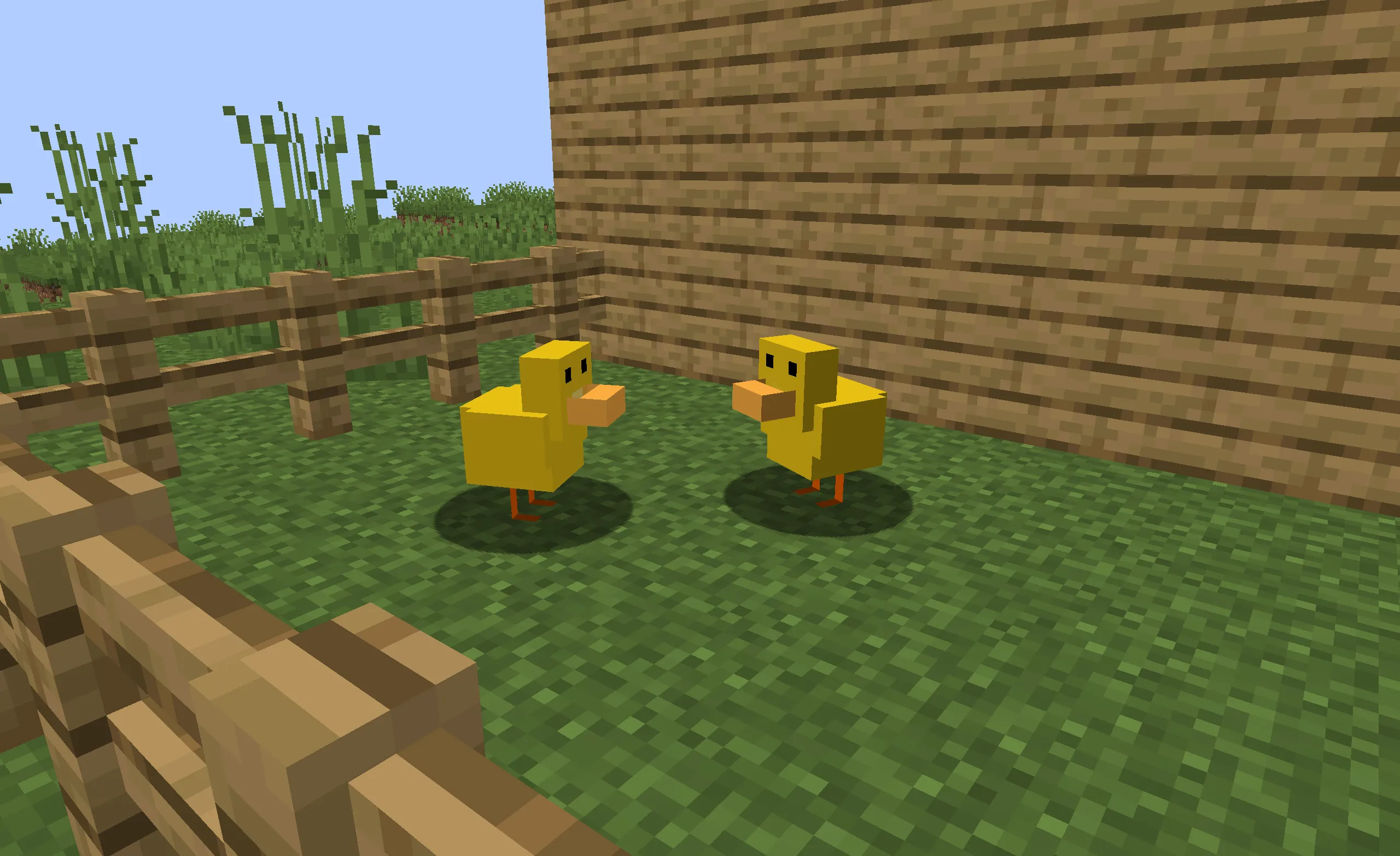 Duck Insanity! — скриншот 1 (Моды, Minecraft)