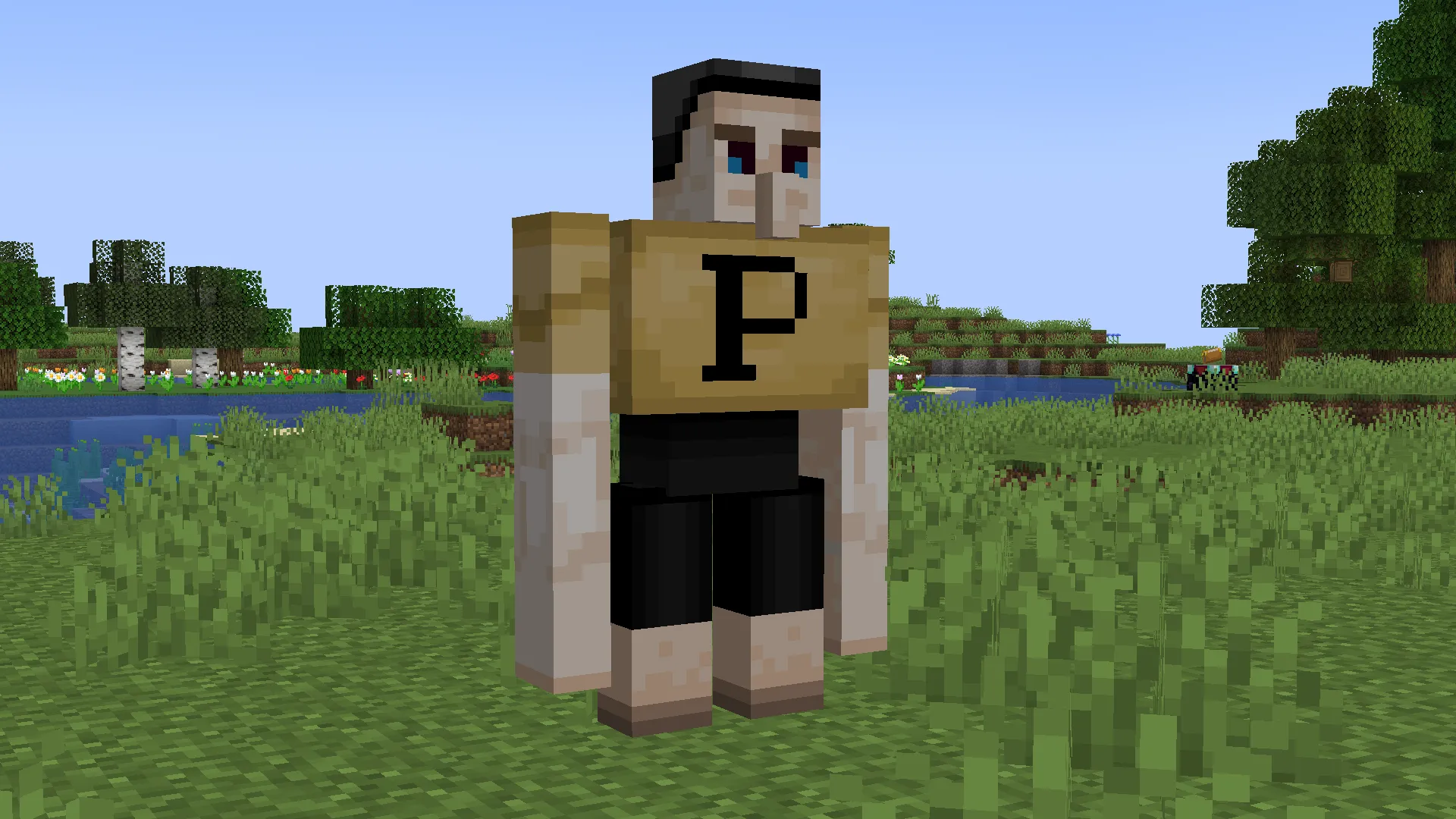 Purdue Resource Pack, Текстуры, Minecraft