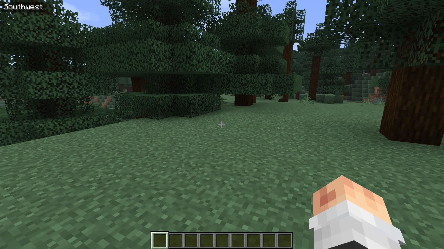 Direction HUD, Моды, Minecraft