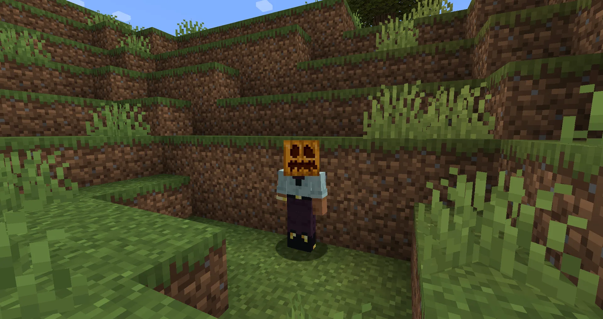 No More Pumpkin Overlay — скриншот 1 (Моды, Minecraft)