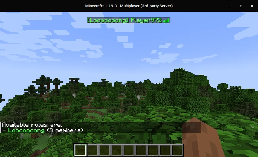 Simple Server Roles, Моды, Minecraft