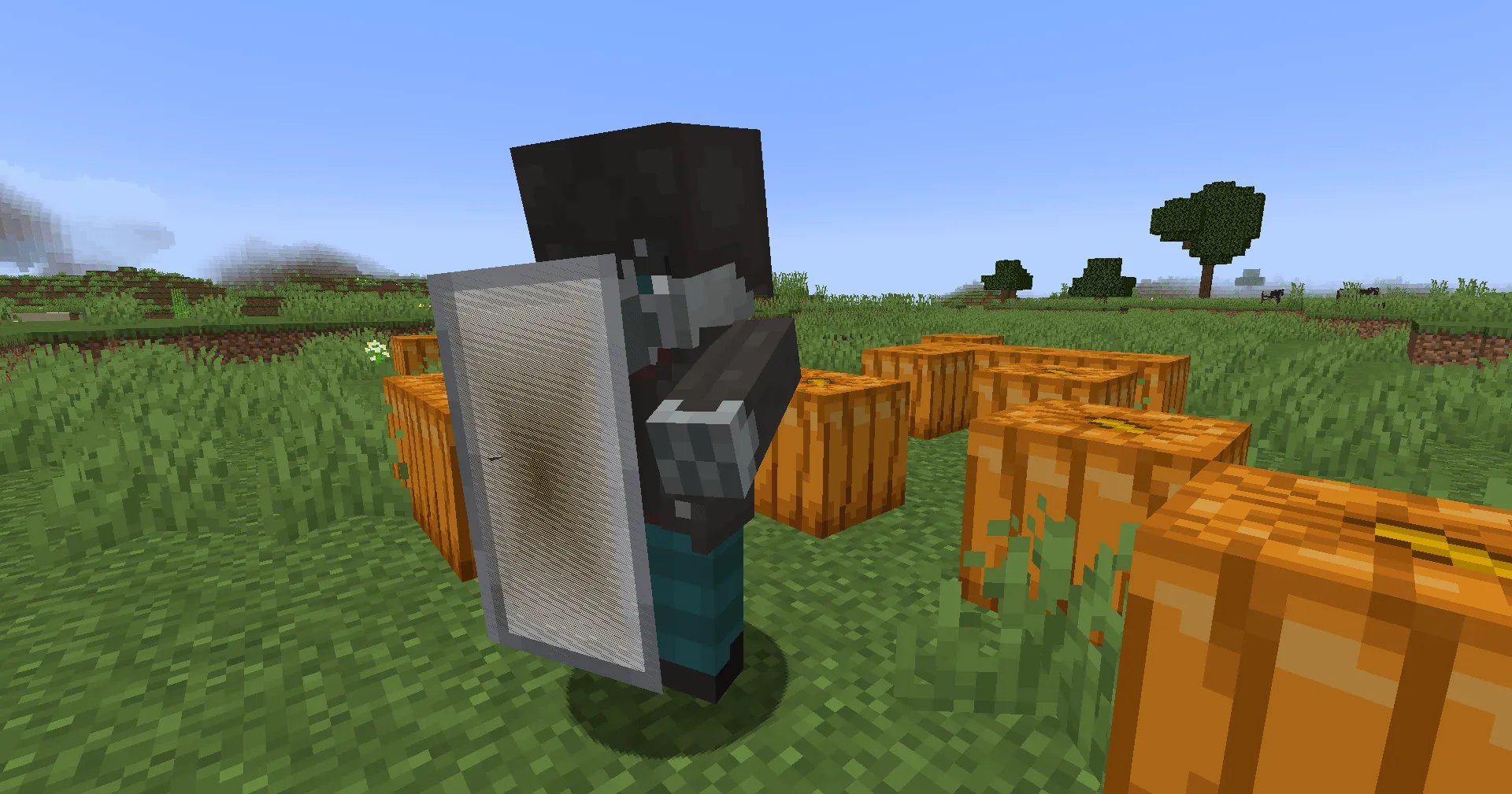 PillagersPlus, Моды, Minecraft