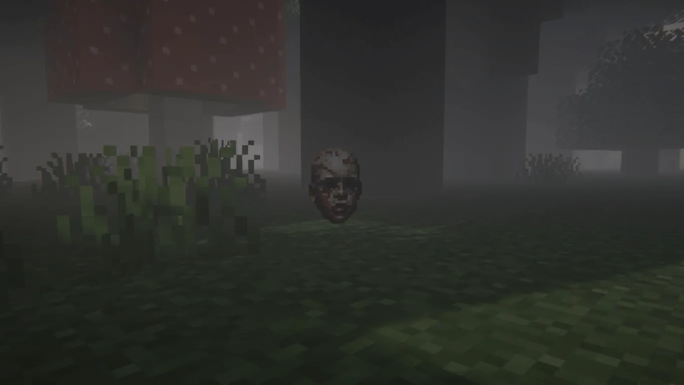 Face Stealer, Моды, Minecraft