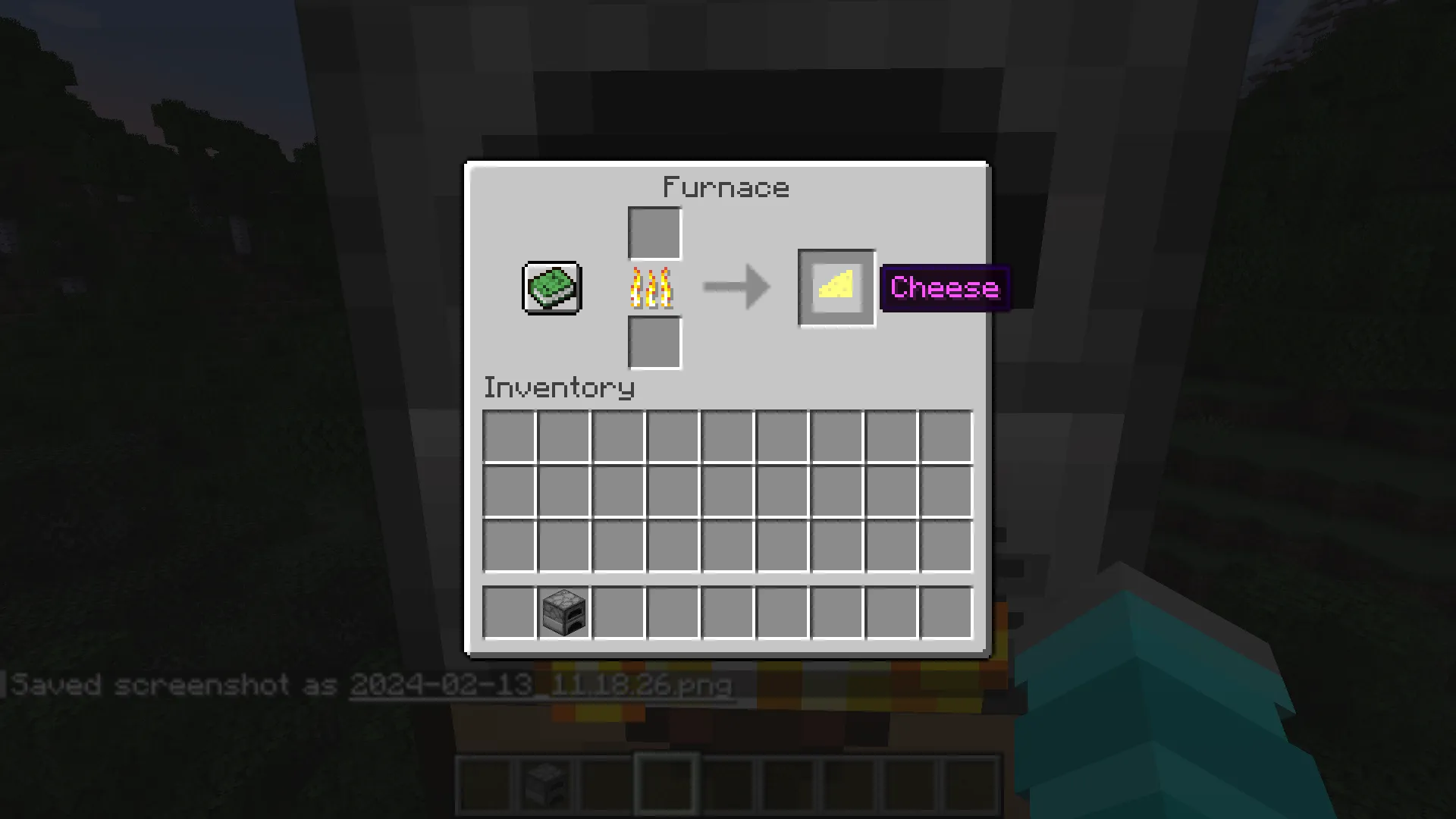 GoogieVogel's Cheese And Currency, Моды, Minecraft