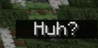 Huh? — скриншот 1 (Моды, Minecraft)