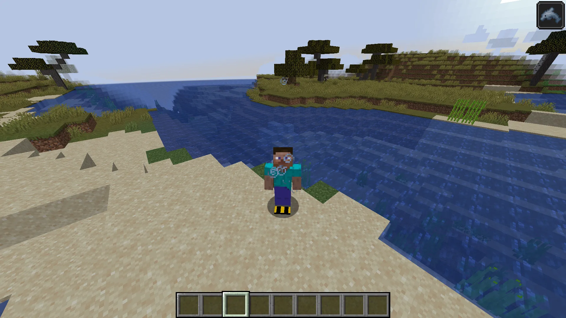 Summer Update, Моды, Minecraft
